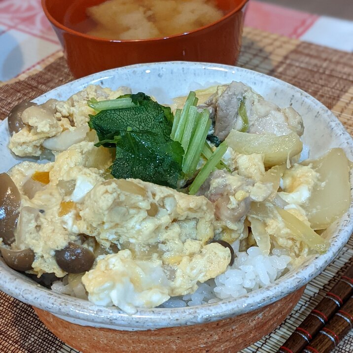 大人気♡我が家の定番♪美味♪とろとろ卵の親子丼